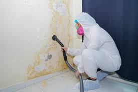  Huron, OH Mold Remediation Pros